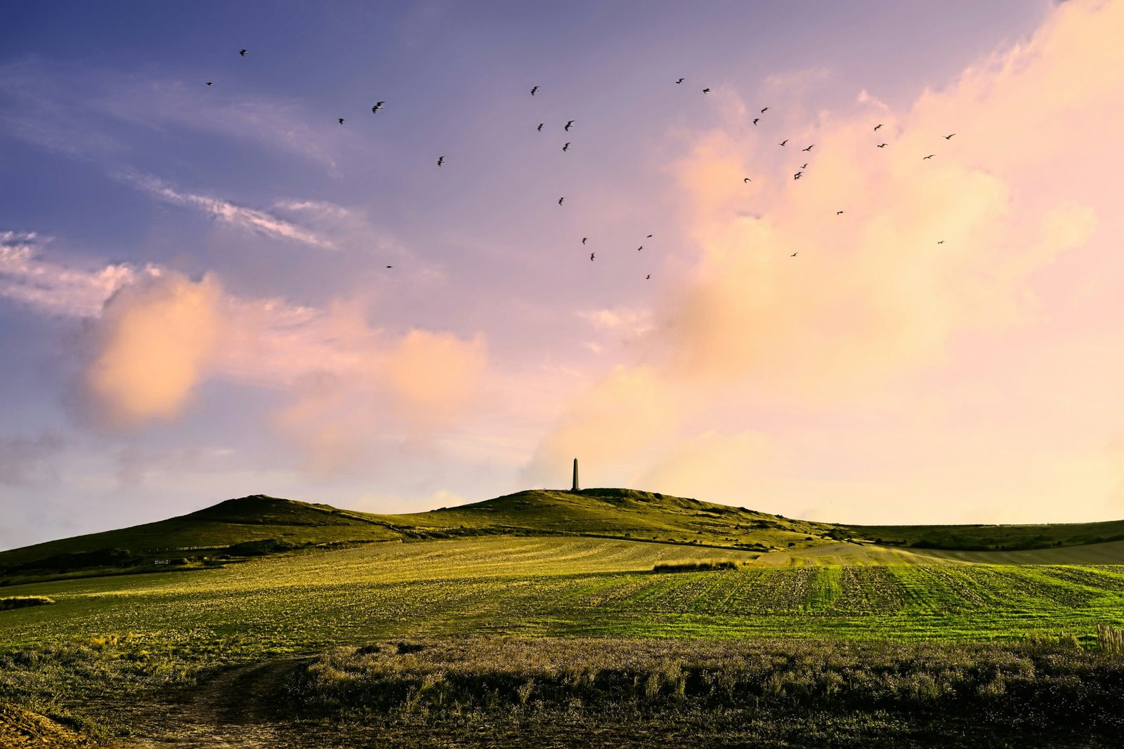 État du Marché Immobilier Montreuillois 2026 : Prix, Tendances et Opportunités